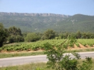 Vélo rail_6